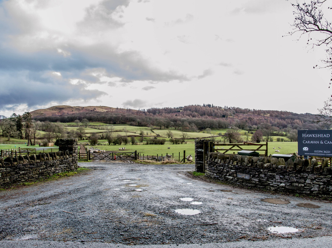 Hawkshead Hall Farm  Campsite景点图片