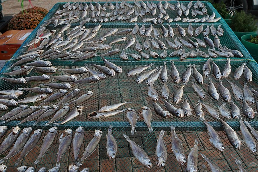 Sinan Jeotgal Town-新安郡必去景点