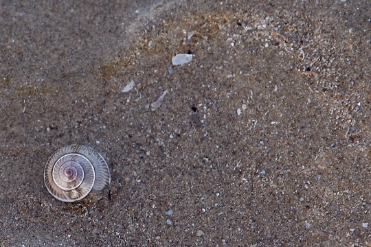 Woojeon Beach-新安郡必去景点