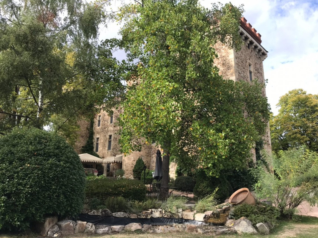 科迪纳特城堡酒店主图