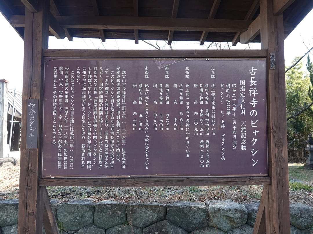 Kochosenji Temple景点图片