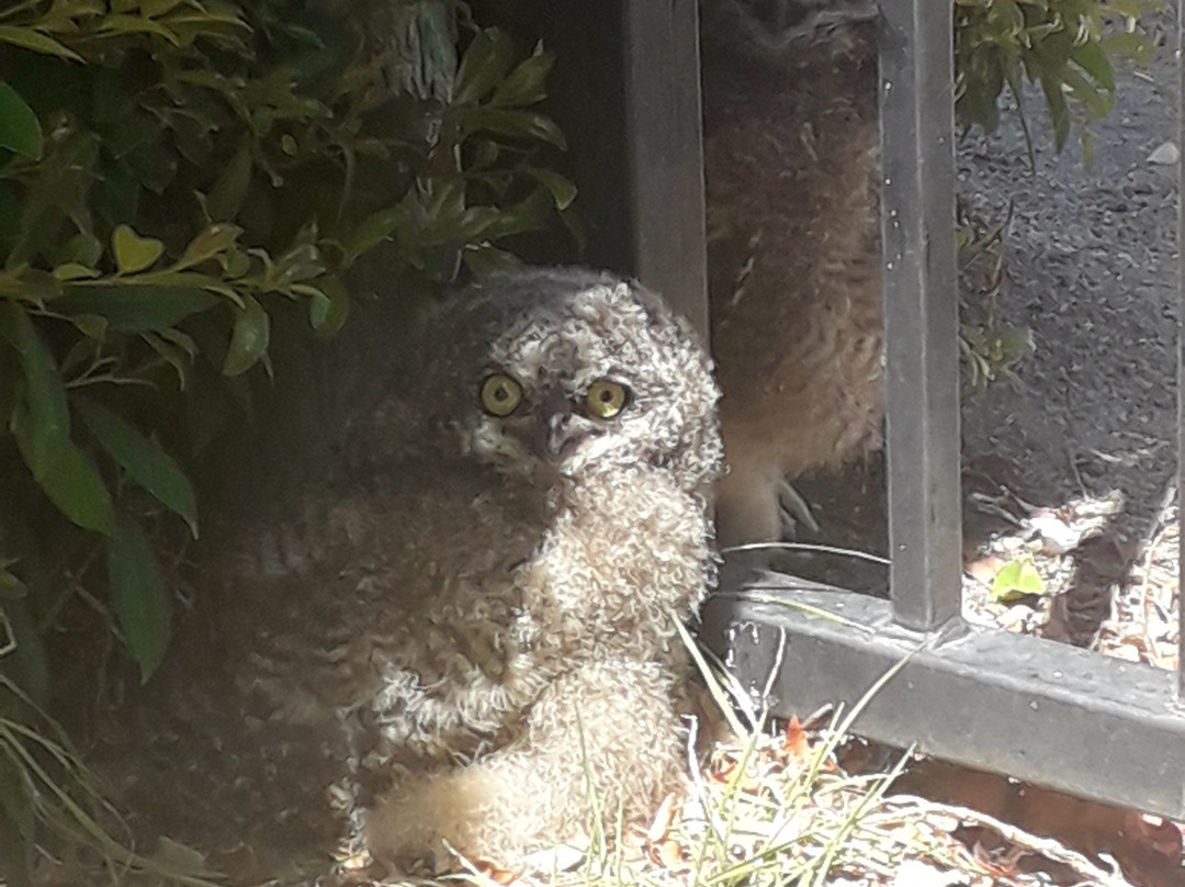 Andreas Guest House主图