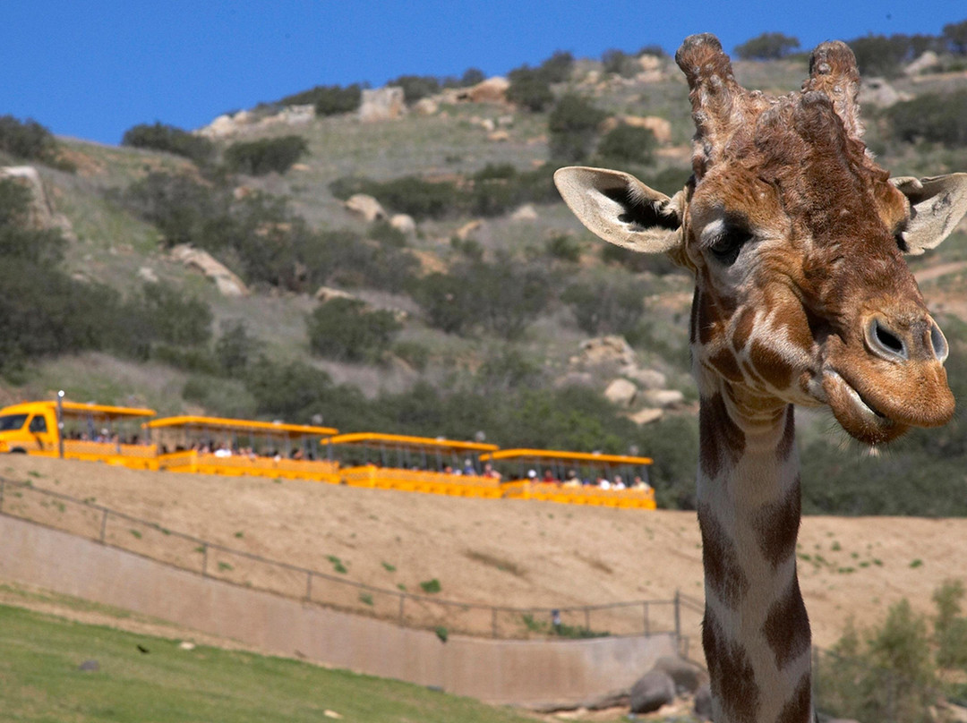 Go City | San Diego-圣地亚哥必去景点