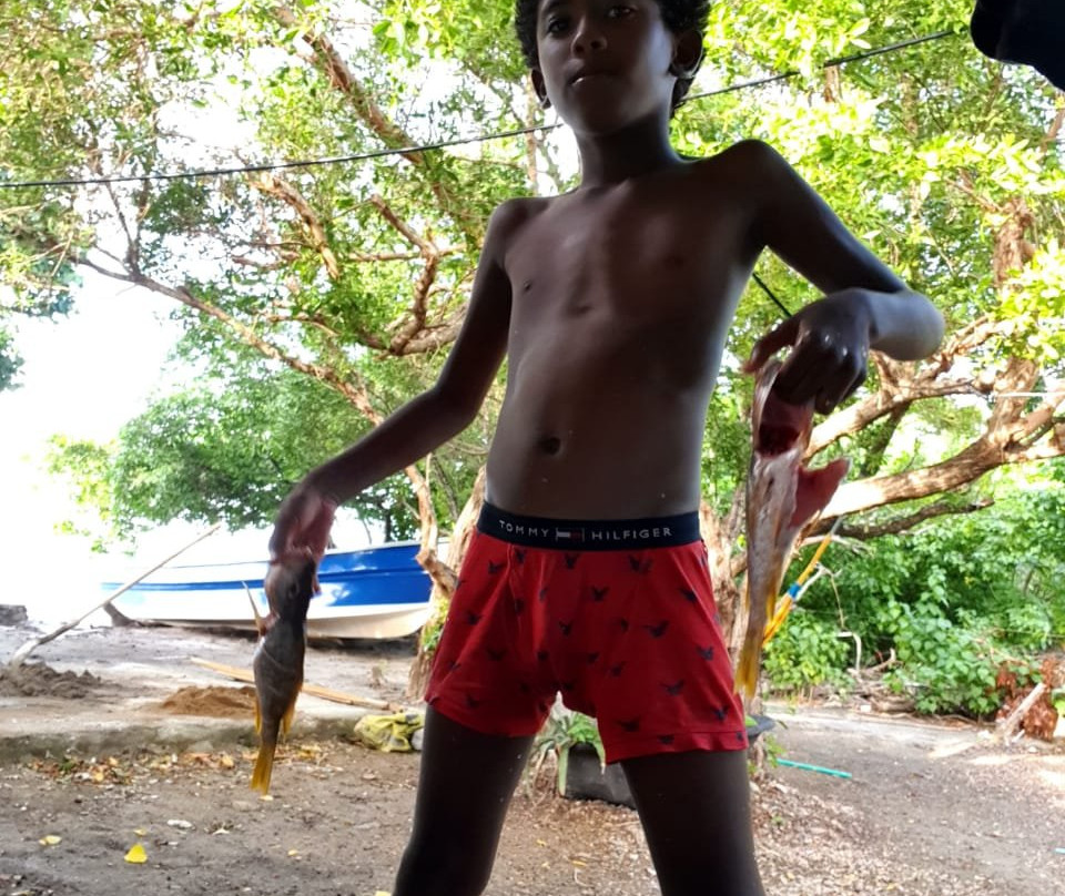 Posada Old Town Bay主图