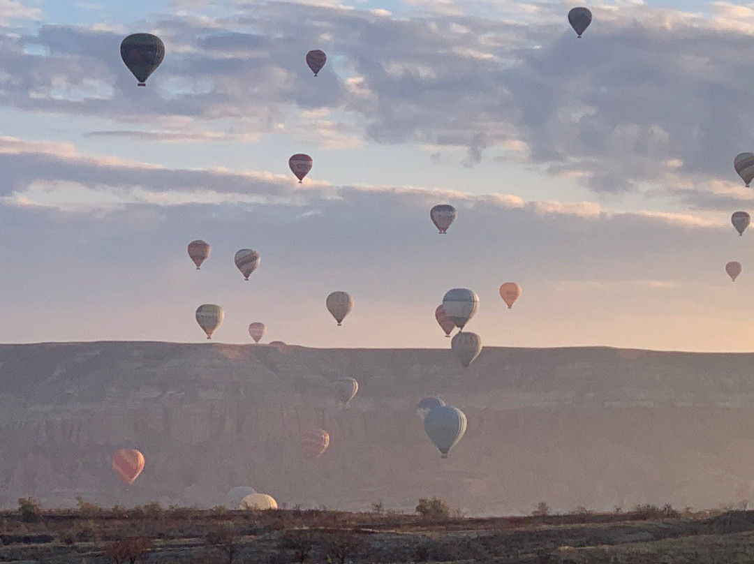 Cappadocia Balloon Flights景点图片