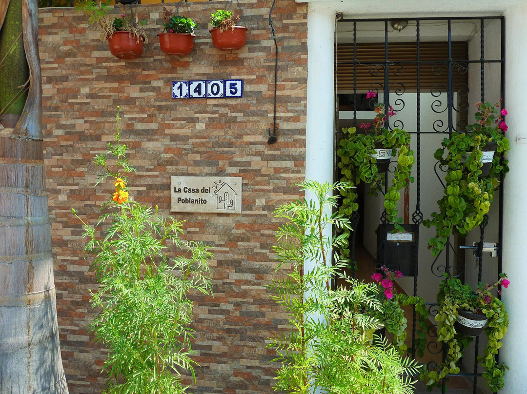 La Casa del Poblanito Hotel Bed & Breakfast & Tours主图
