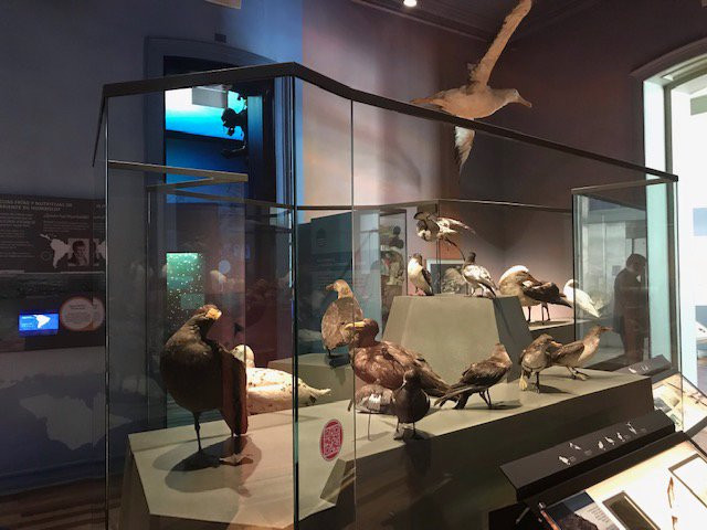 Museo de Historia Natural de Valparaiso-瓦尔帕莱索必去景点