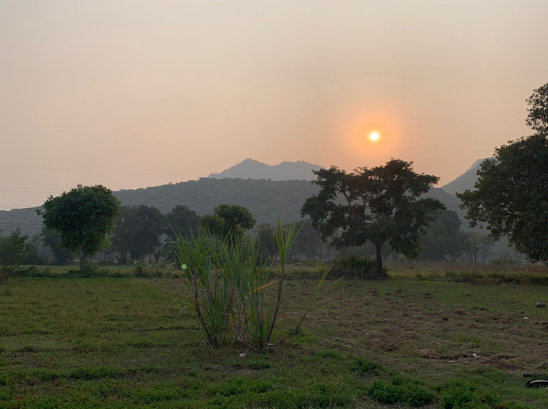 Responsible Rural Tours景点图片