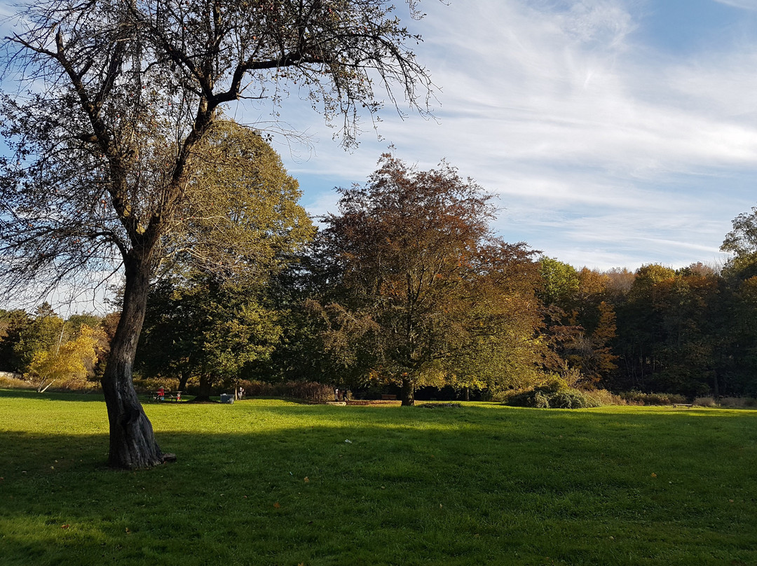 Webster Falls-邓达斯必去景点