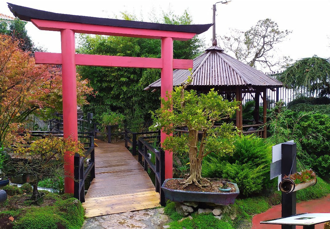 Zen Museu do Bonsai主图