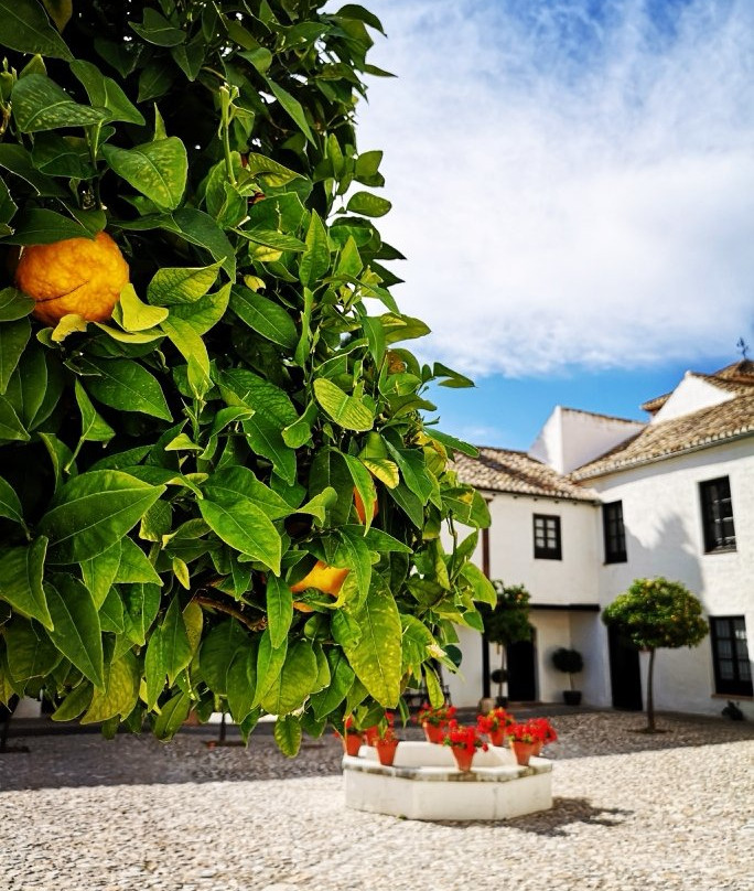 Hotel Cortijo Del Marques主图