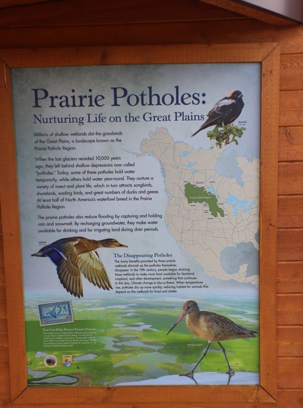 Benton Lake National Wildlife Refuge景点图片