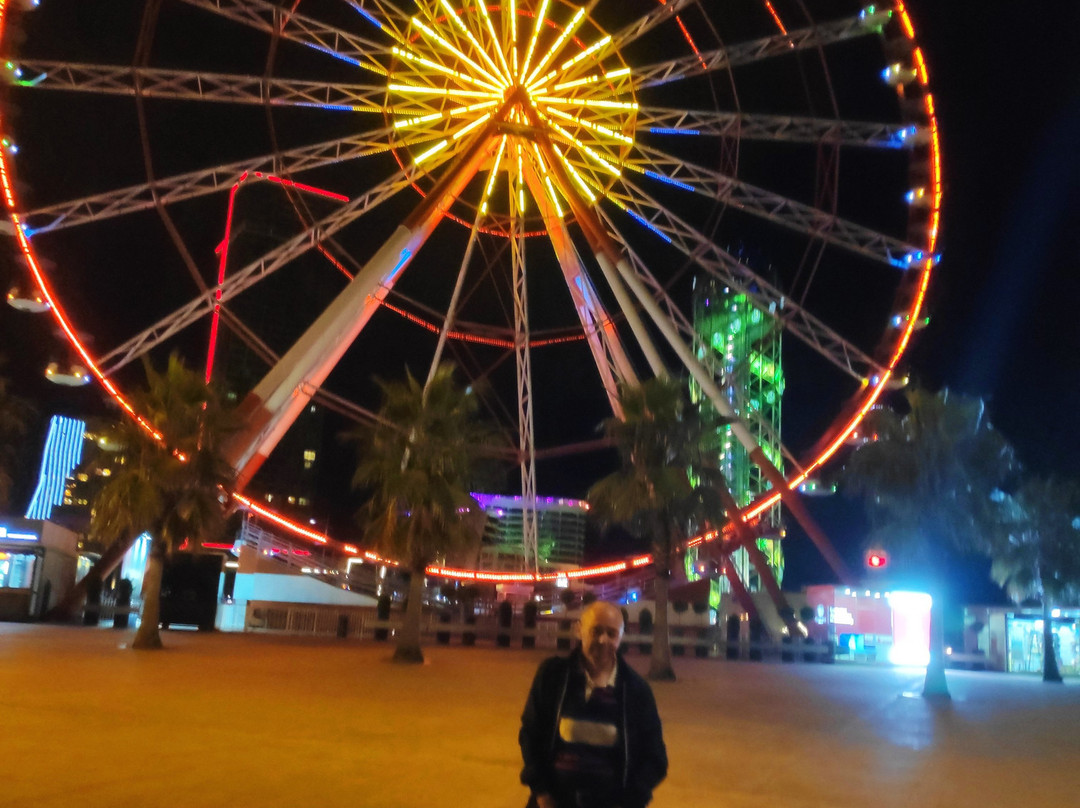 Panoramic Wheel-巴统必去景点