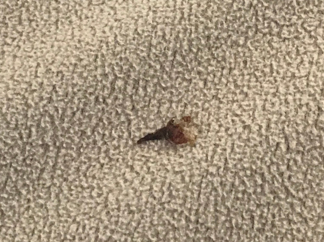 Travelodge by Wyndham Green River主图