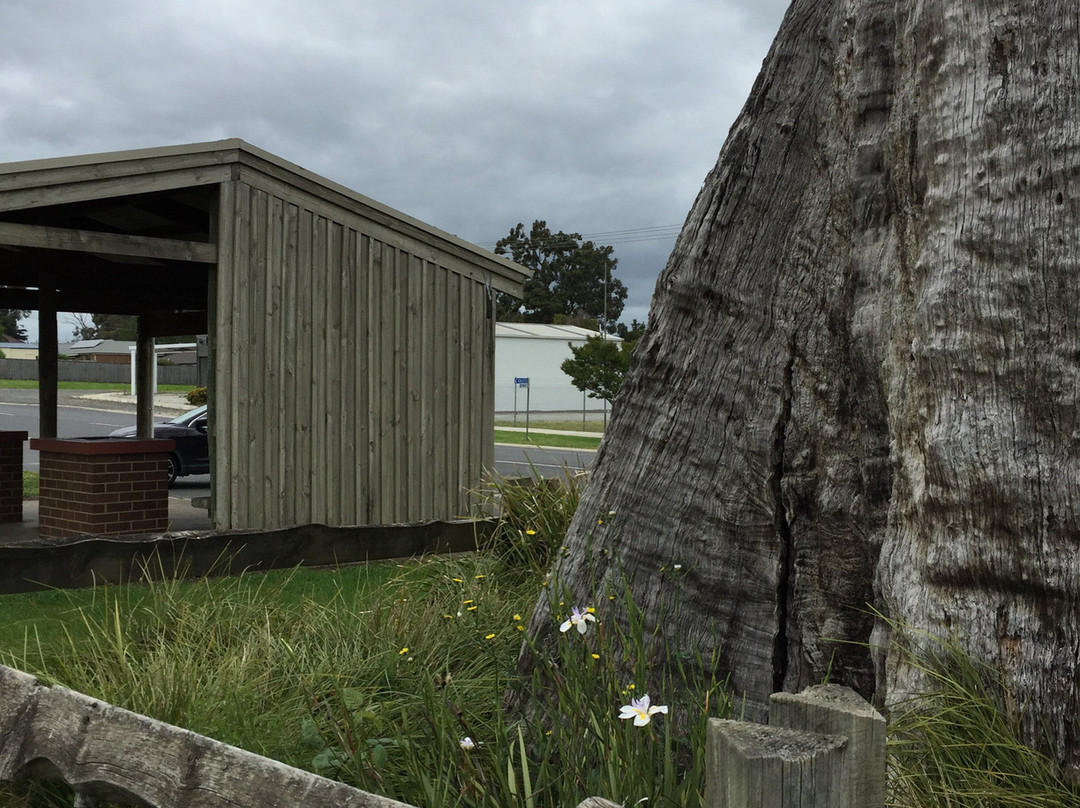 The Big Stump-Darnum必去景点