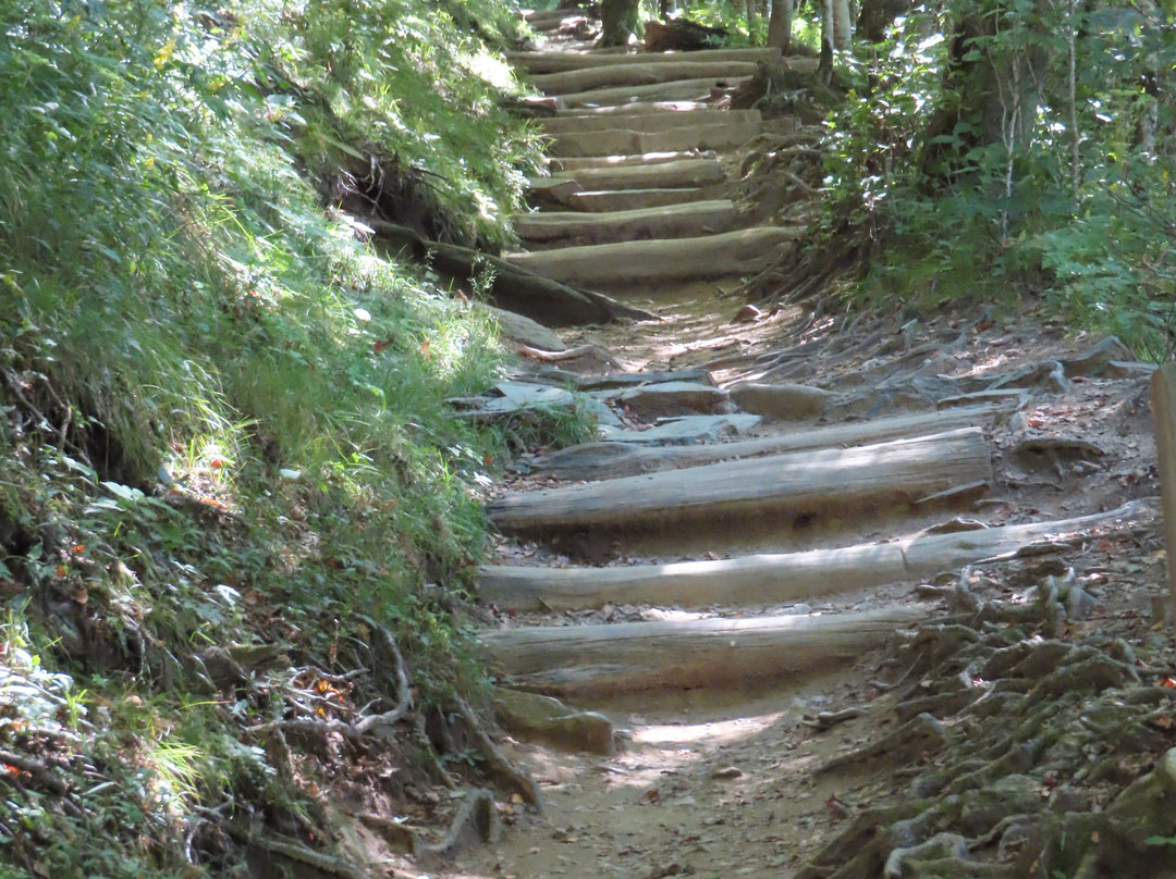 Rockefeller Memorial-大雾山国家公园必去景点