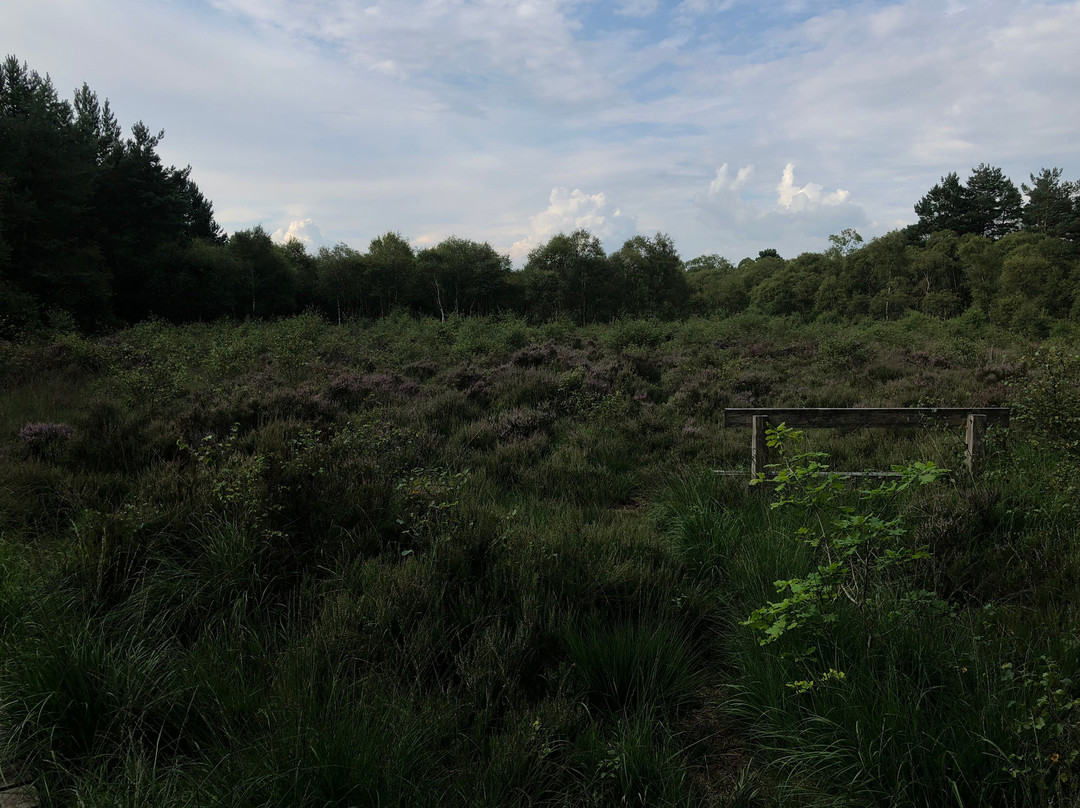 Kirkconnell Flow Nature Reserve-邓弗里斯-加洛韦必去景点