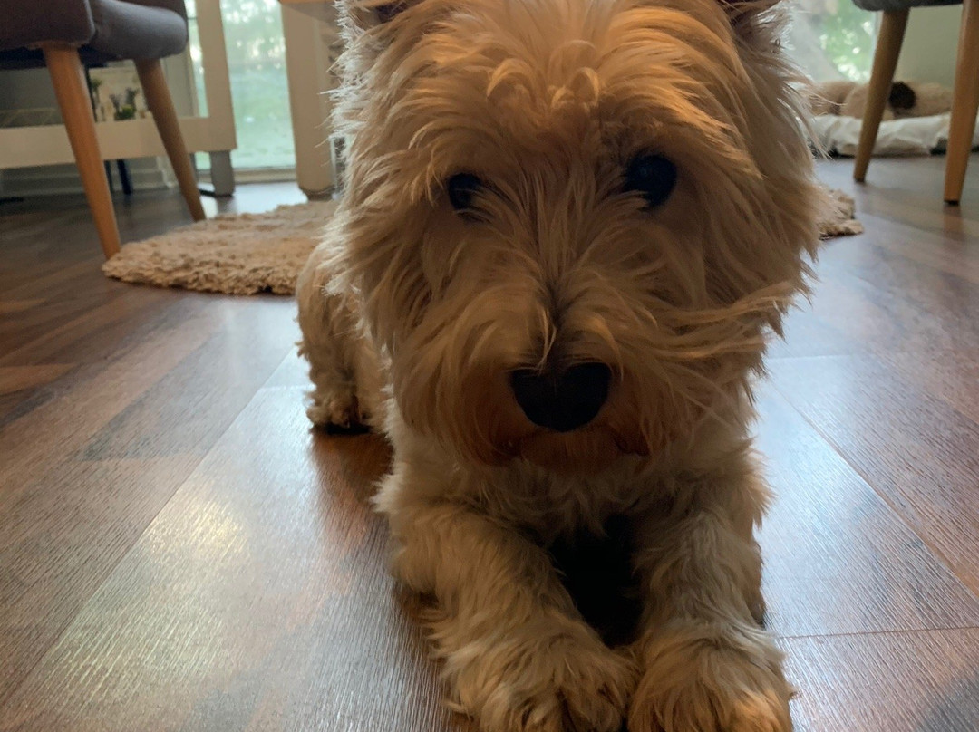 Soul Escapes Wellness Sanctuary-棕榈湾必去景点