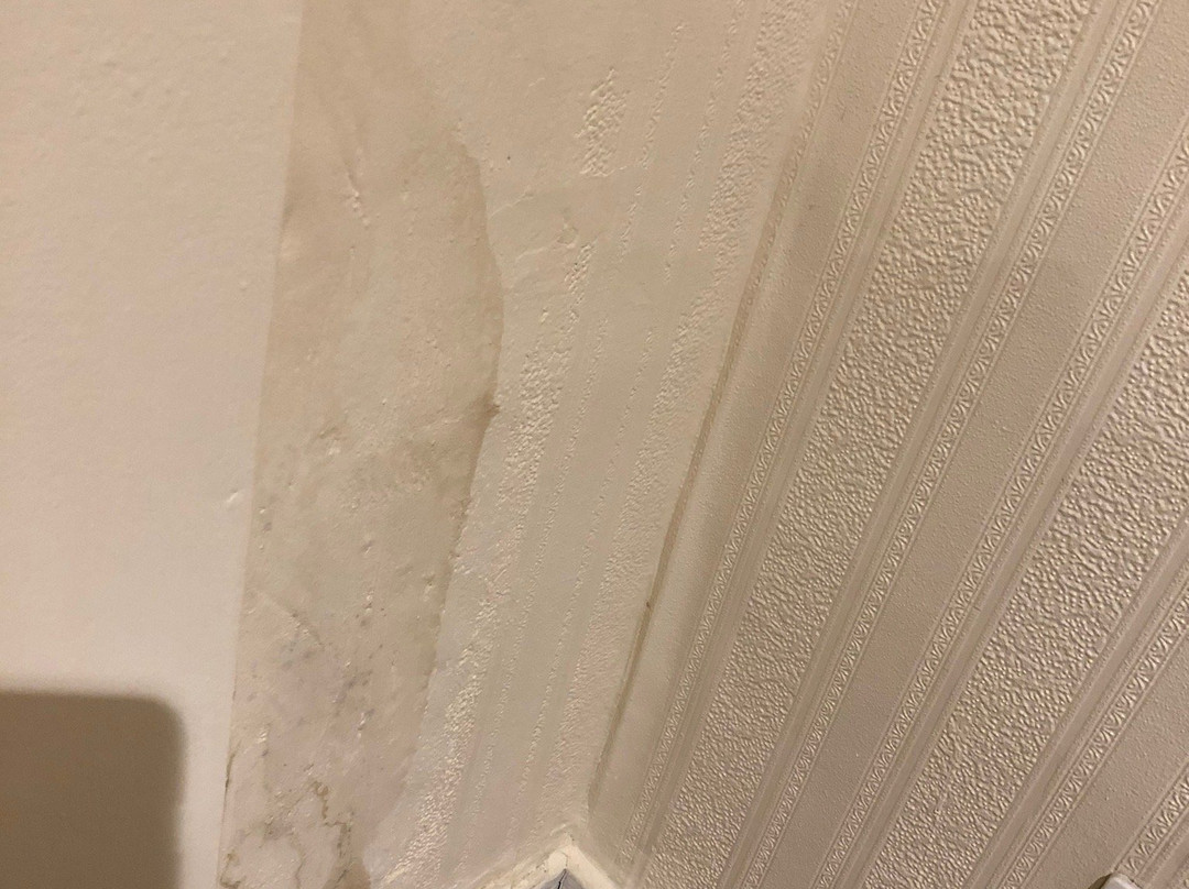 贝尔福特别墅酒店主图