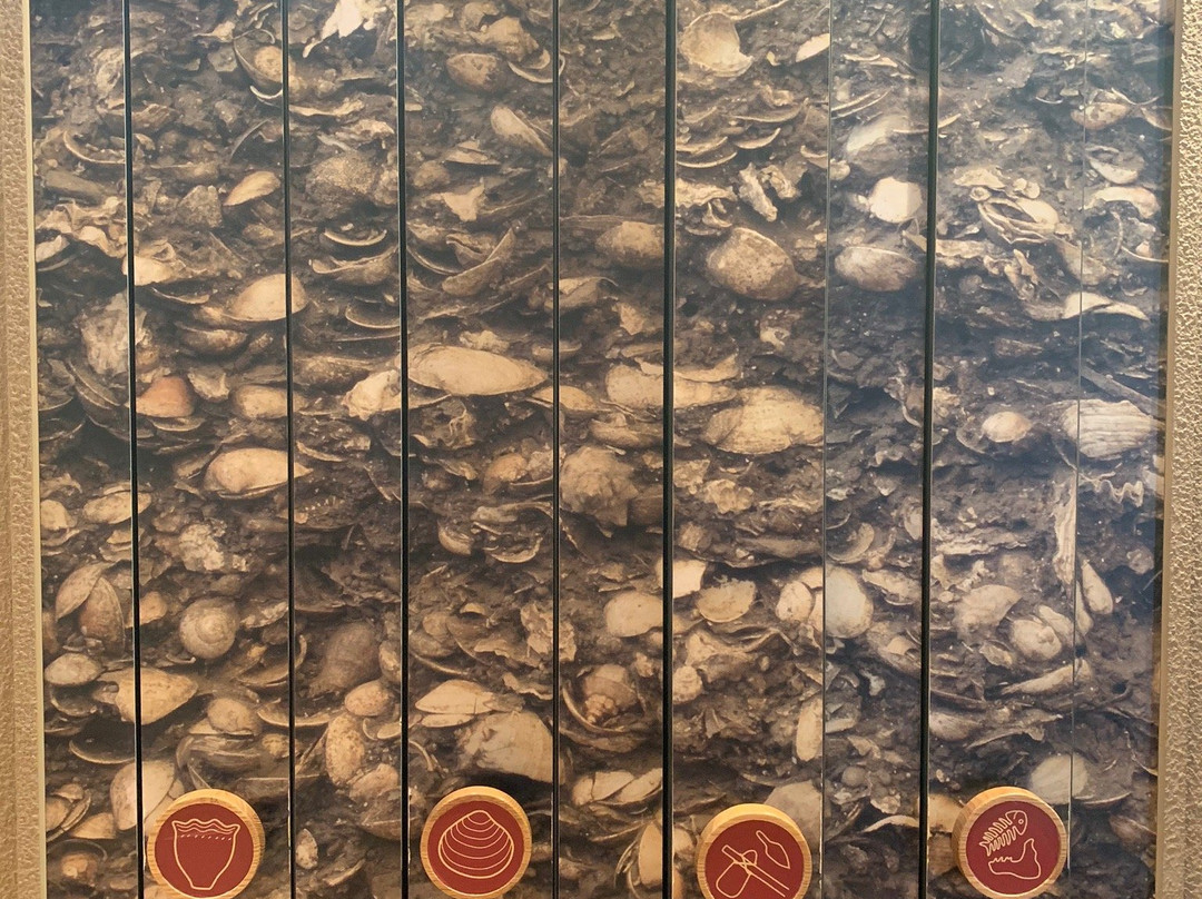 Yoshigo Kaizukashiseki Park-田原市必去景点