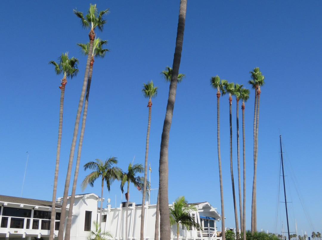 那不勒斯岛-长滩必去景点
