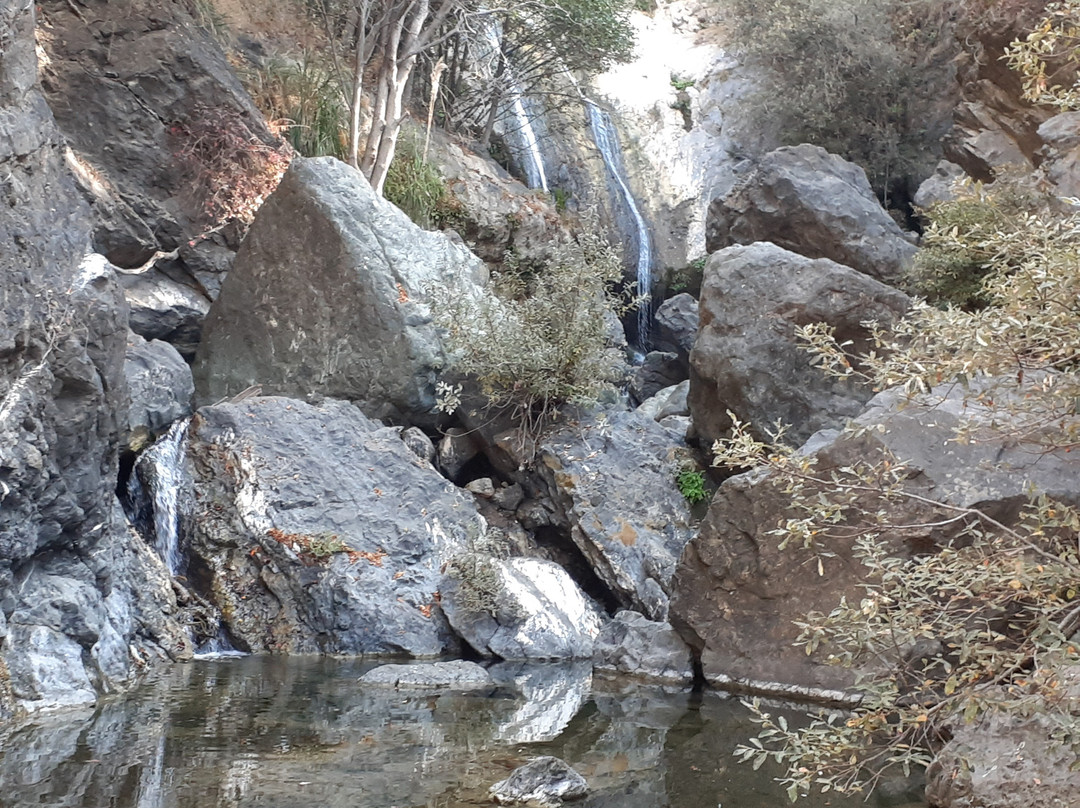 Salmon Creek Falls Trail-大苏尔必去景点