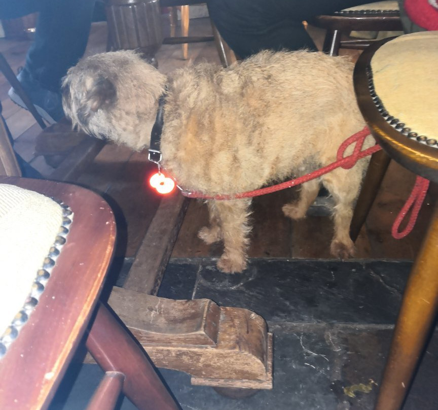 The Wheatsheaf Inn主图