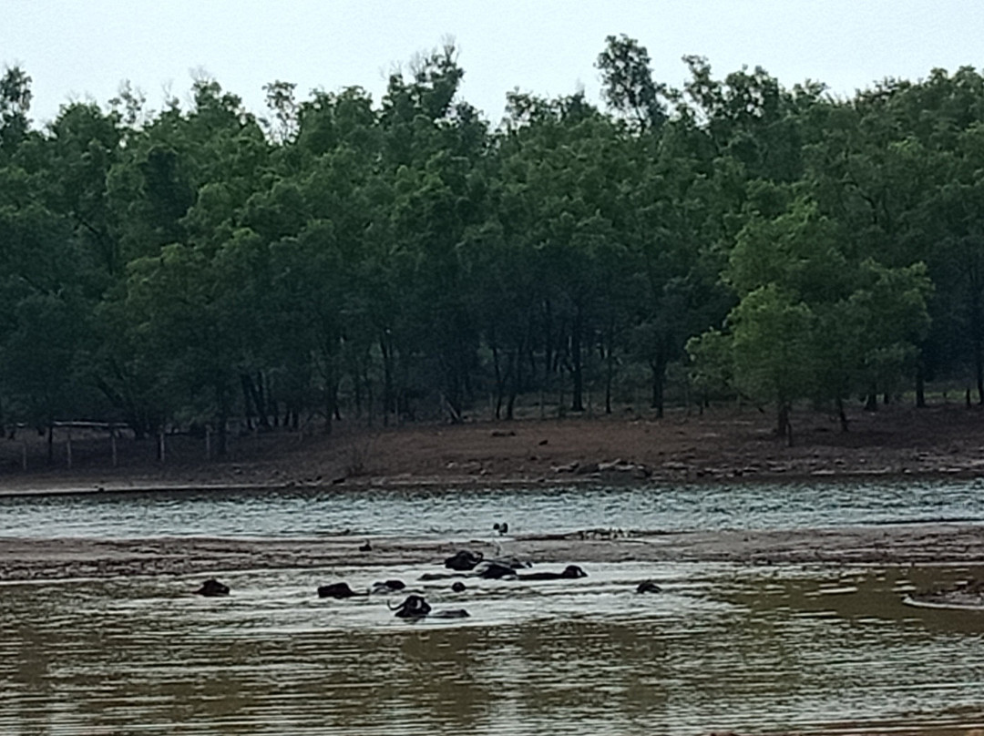 Lonavala Lake景点图片