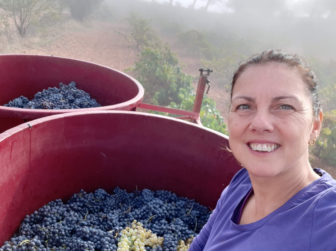 Bodegas Gratias-Casas Ibanez必去景点