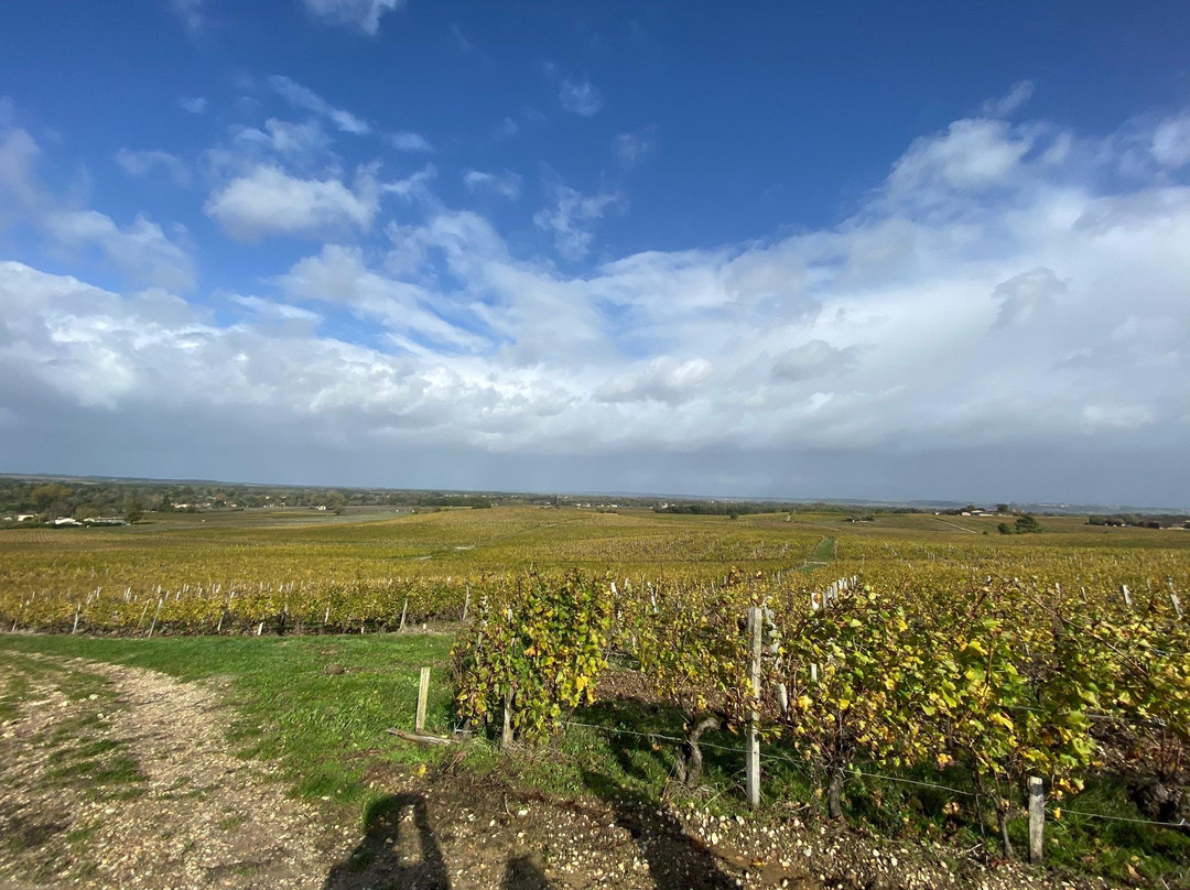 La Cordonnerie主图