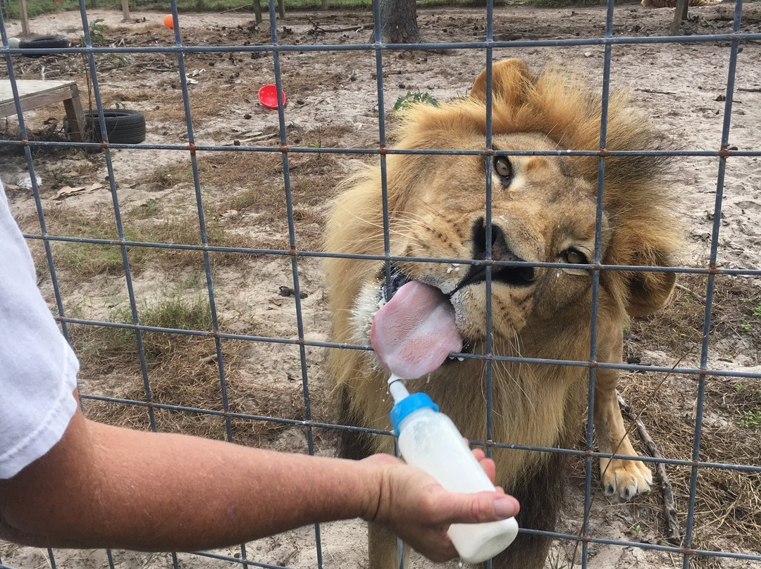 Single Vision Inc.-Melrose必去景点