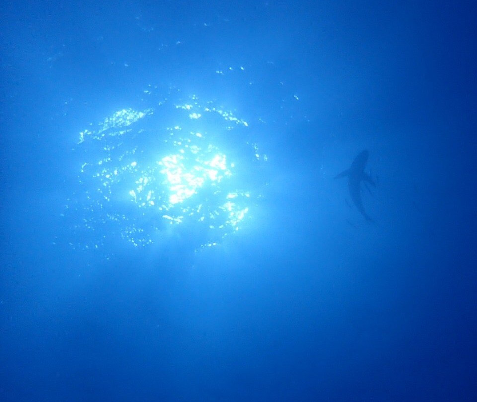 Desert Sea Divers-吉达必去景点