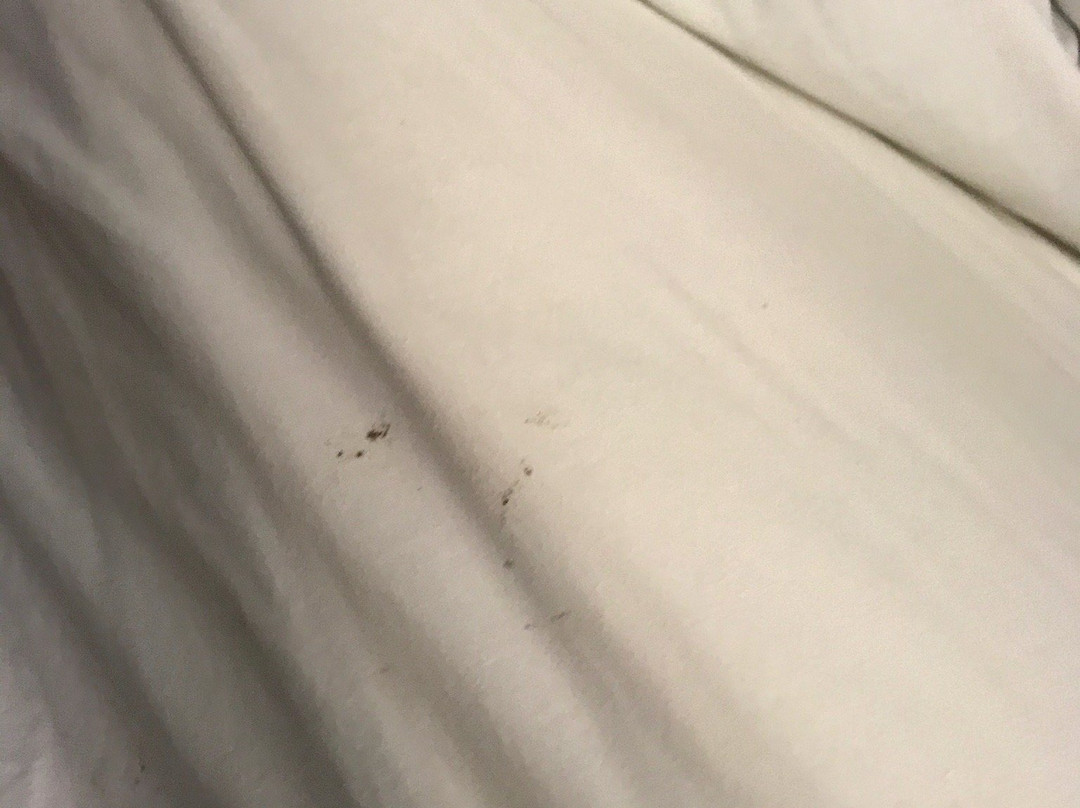 Days Inn by Wyndham Elberton主图