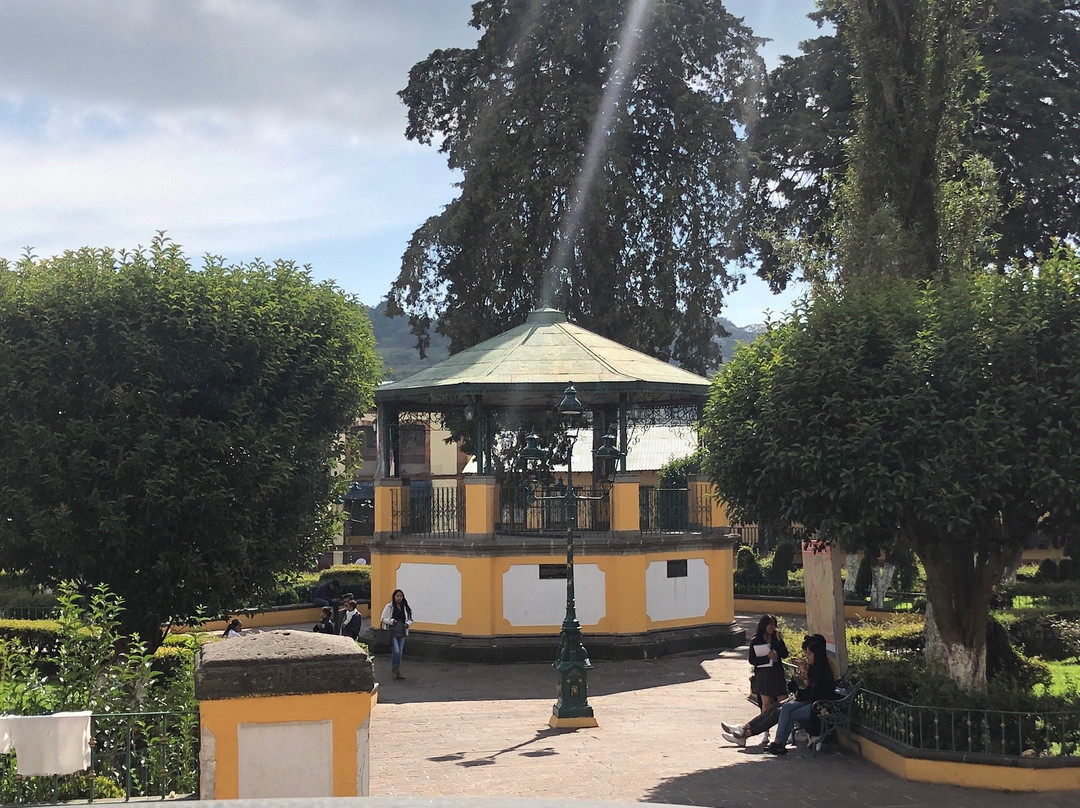 Jardin Madero景点图片