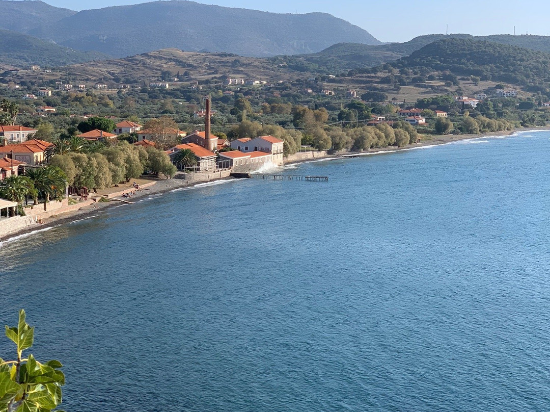 Lesvos Taxi Service景点图片