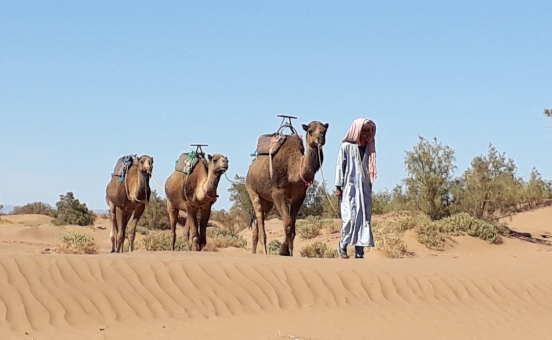 Sables Emouvants-迈哈米德必去景点