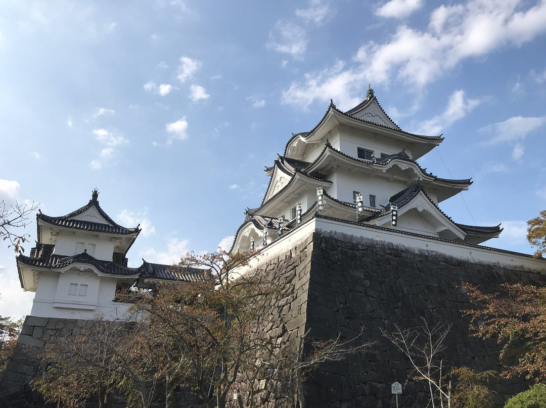 Iga Ueno Castle景点图片