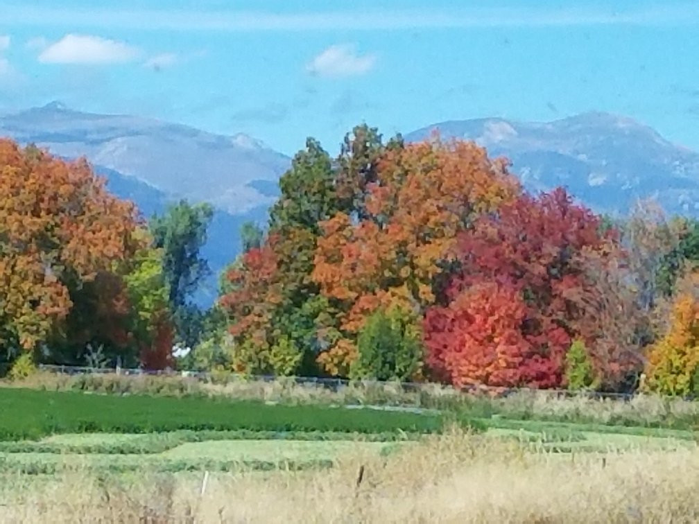 The Stevensville Hotel主图