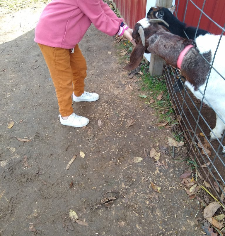 Pumpkin Valley Farm-Dayton必去景点