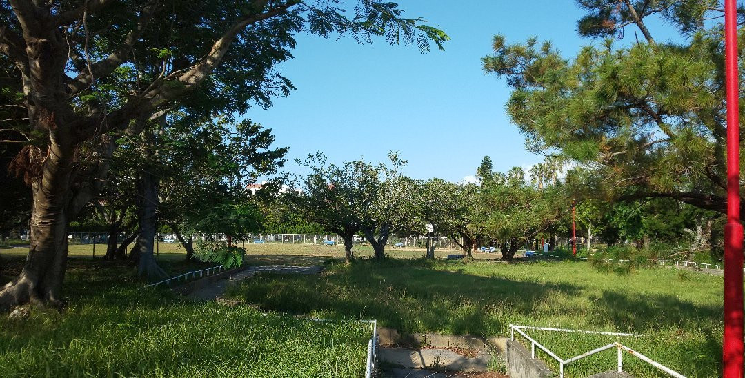 Yogi Park景点图片