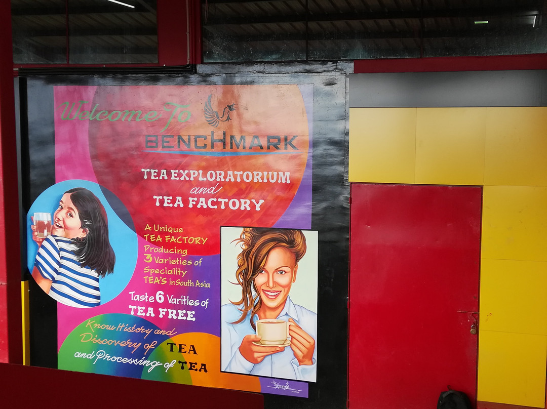 Benchmark Tea Factory景点图片