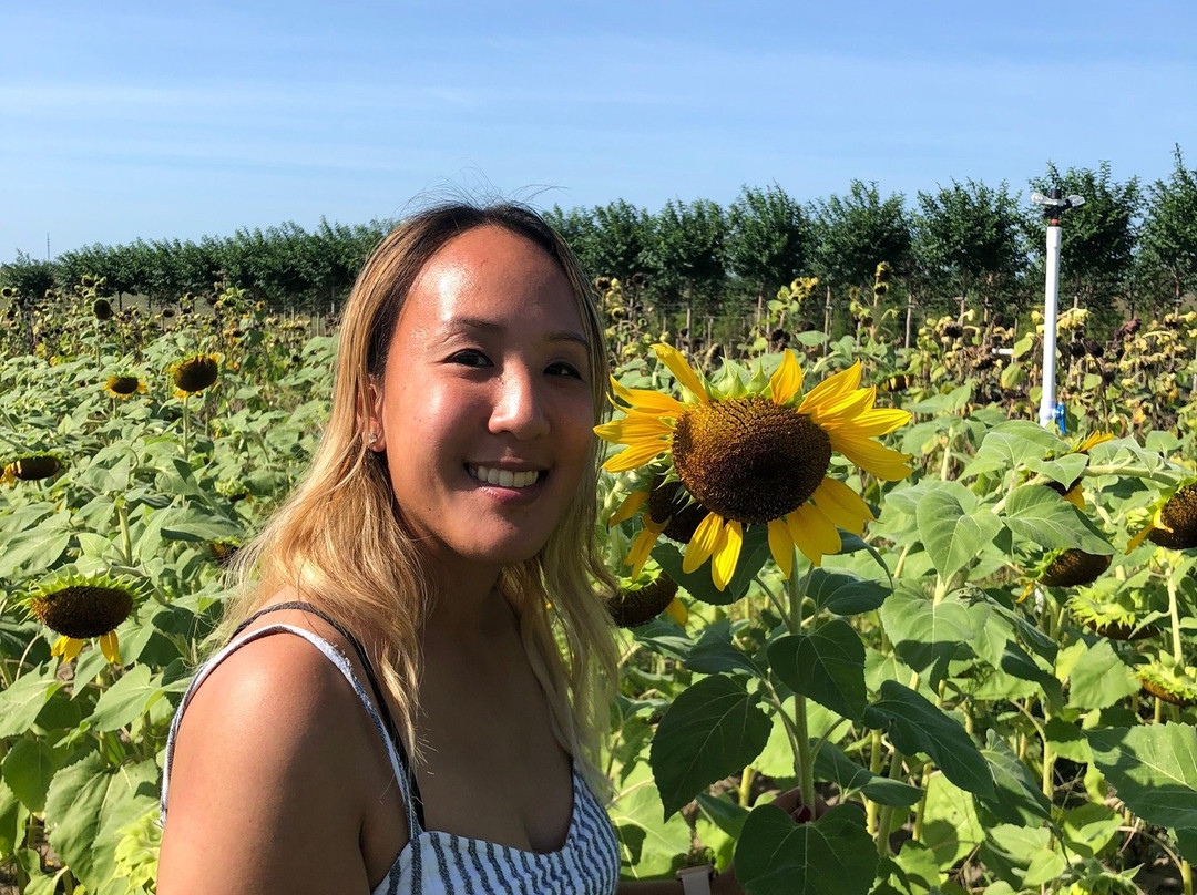 Southern Hill Farms-Clermont必去景点