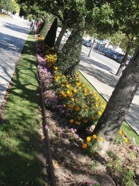 Jardim da Avenida da Liberdade景点图片