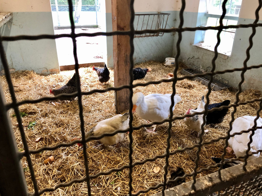 Glockenhof Studtmann主图