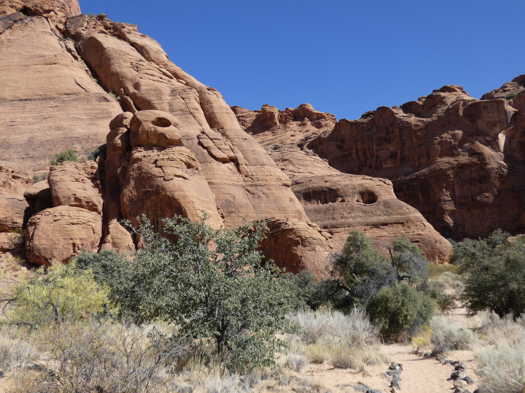 Red Cliffs National Conservation Area-圣乔治必去景点