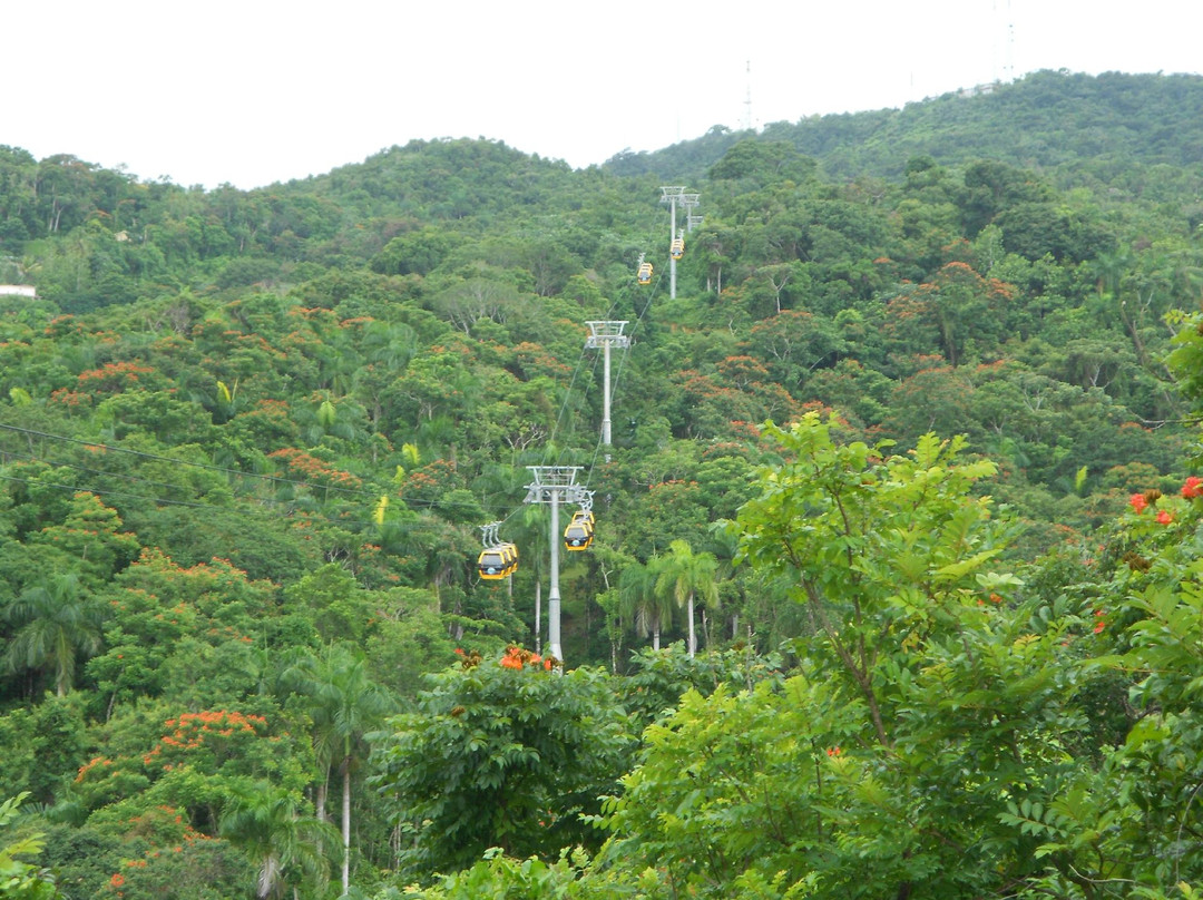 Parque Forestal La Marquesa景点图片