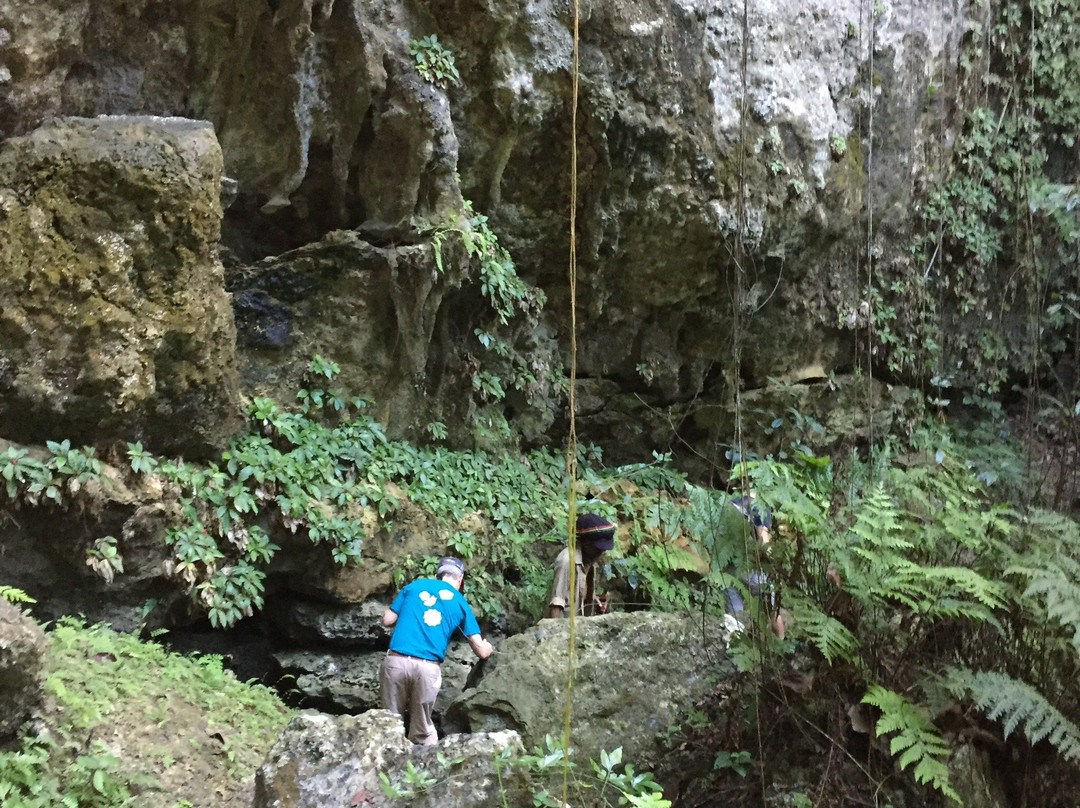 Windsor Cave-Windsor必去景点
