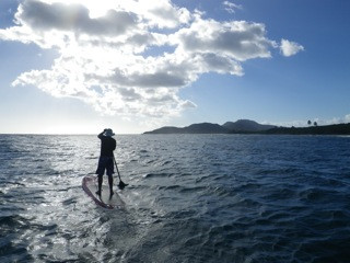 Vieques Paddleboarding景点图片
