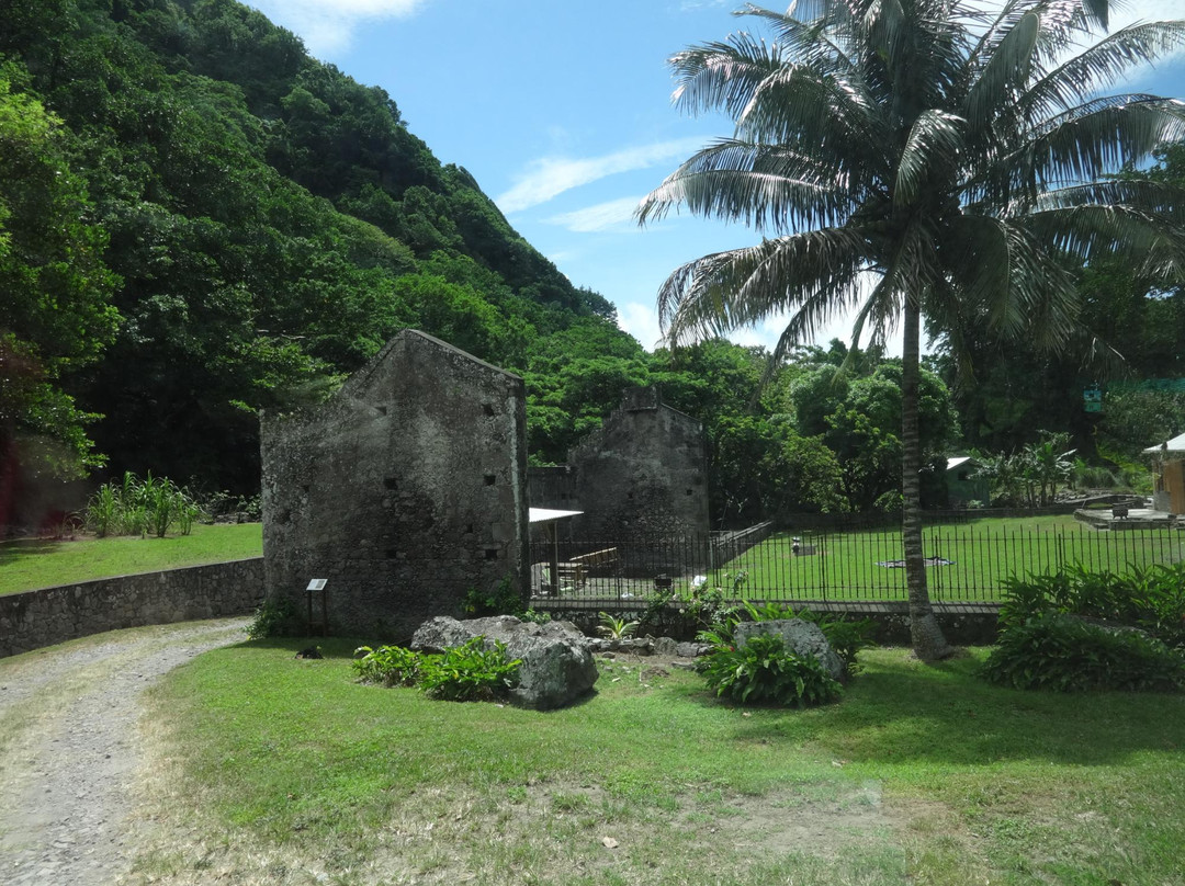 Soufriere旅游景点-Bois Cotlette Estate