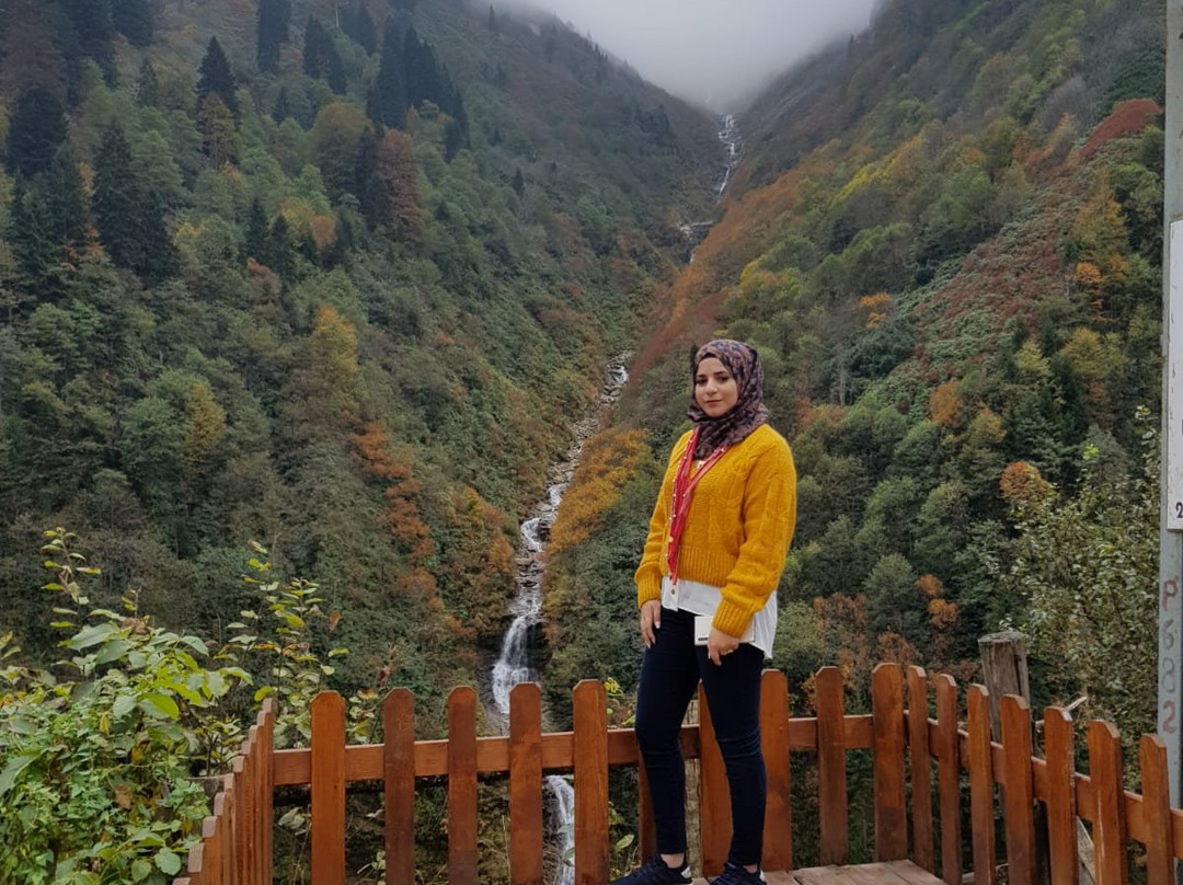 Ayder Yaylasi景点图片
